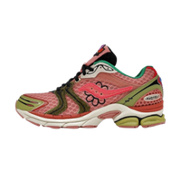 Saucony ProGrid Triumph 4 Jae Tips Flowers Grow Uptown Virginia Creeper
