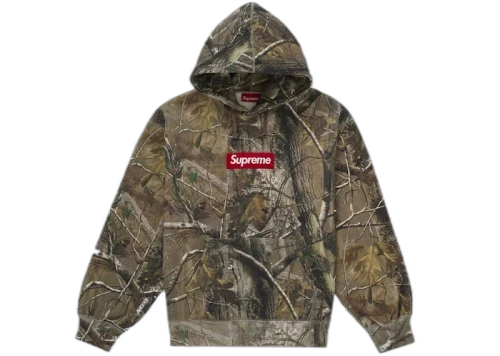 Supreme Box Logo Hooded Sweatshirt (FW25) Realtree AP Camo